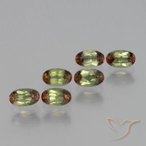 Gemme di Andalusite Multicolore naturale da 1.69 ct, Ovale, VS