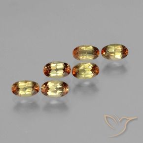 Gemme di Andalusite Multicolore naturale da 1.70 ct, Ovale, VS