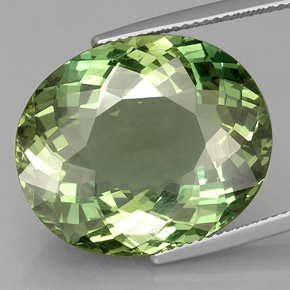 Apatite naturale verde da 24,47 ct, taglio ovale, VVS-VS
