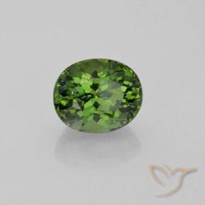 Apatite Verde foresta naturale da 4.92 ct, Taglio ovale, VS