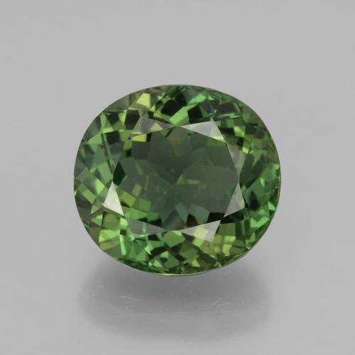Apatite naturale verde da 6,01 ct, taglio ovale, VVS-VS