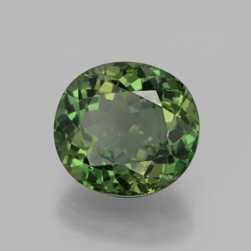 Apatite naturale verde da 6,01 ct, taglio ovale, VVS-VS