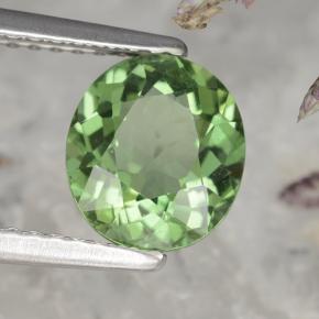 Apatite naturale verde da 1,58 ct, taglio ovale, VS