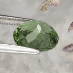 Apatite naturale verde da 1,58 ct, taglio ovale, VS