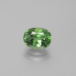 Apatite naturale verde da 1,69 ct, taglio ovale, VVS-VS