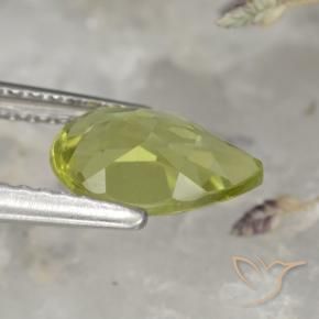 Apatite Caldo bosco verde naturale da 1.40 ct, Forma a pera, VS
