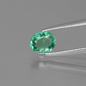 Apatite Verde naturale da 0.59 ct, Taglio ovale, VVS-VS