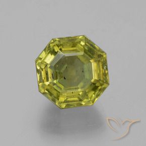 Apatite Caldo bosco verde naturale da 11.16 ct, Ottagonale / Taglio smeraldo, VS-SI