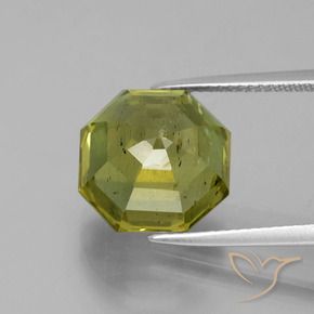 Apatite Caldo bosco verde naturale da 11.16 ct, Ottagonale / Taglio smeraldo, VS-SI
