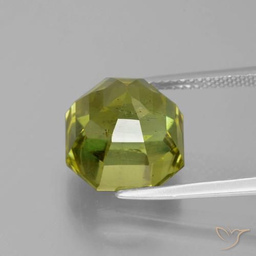 Apatite Caldo bosco verde naturale da 11.26 ct, Ottagonale / Taglio smeraldo, VS-SI