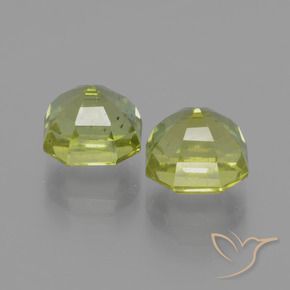 Gemme di Apatite Caldo bosco verde naturale da 7.45 ct, Ottagonale / Taglio smeraldo, VS