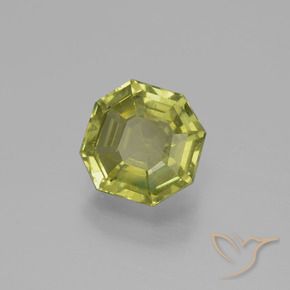 Apatite Caldo bosco verde naturale da 2.64 ct, Ottagonale / Taglio smeraldo, VS