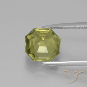 Apatite Caldo bosco verde naturale da 2.64 ct, Ottagonale / Taglio smeraldo, VS