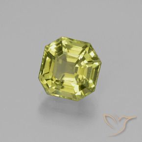 Apatite Caldo bosco verde naturale da 2.61 ct, Ottagonale / Taglio smeraldo, VS
