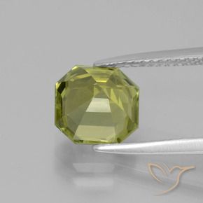 Apatite Caldo bosco verde naturale da 2.61 ct, Ottagonale / Taglio smeraldo, VS