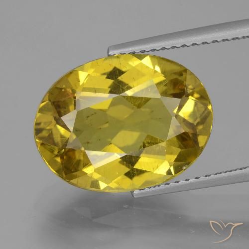 7.27ct Naturale Giallo d'autunno Apatite, Ovale, VS