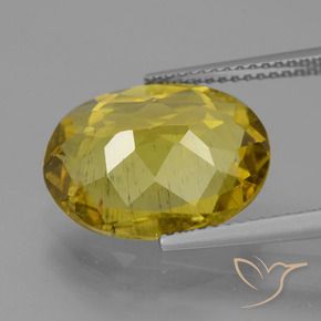 Apatite Giallo d'autunno naturale da 7.27 ct, Ovale, VS