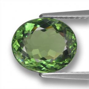 Apatite naturale verde da 3,12 ct, taglio ovale, VS-SI