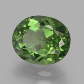 Apatite naturale verde da 2,62 ct, taglio ovale, VS-SI