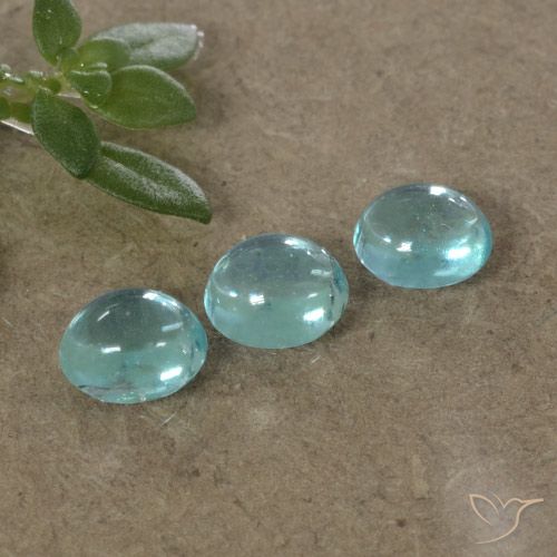 1.10ctw Naturale Tono blu elettrico Apatite, Ovale, Trasparente