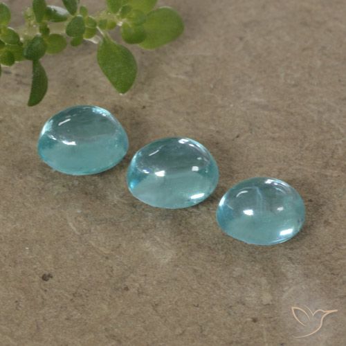 1.26ctw Naturale Blu Olimpico Apatite, Ovale, Trasparente