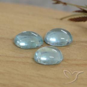 Gemme di Apatite Azzurro naturale da 1.01 ct, Ovale, Trasparente