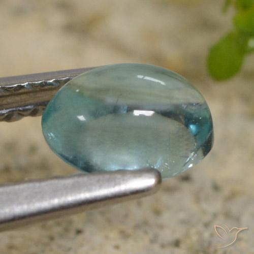 Apatite Alzavola Chiaro naturale da 0.62 ct, Ovale, Trasparente