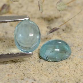 Gemme di Apatite Blu naturale da 1.31 ct, Taglio ovale, Trasparente