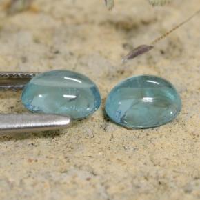 Gemme di Apatite Blu naturale da 1.31 ct, Taglio ovale, Trasparente