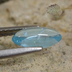 Apatite alzavola chiaro naturale da 0,75 ct, taglio marquise, trasparente