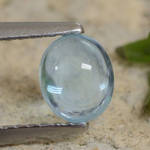 0.74ct Naturale Alzavola Chiaro Apatite, Ovale, Trasparente