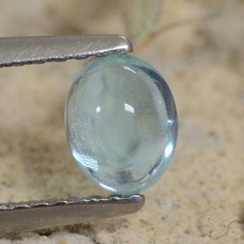 0.71ct Naturale Alzavola Chiaro Apatite, Ovale, Trasparente