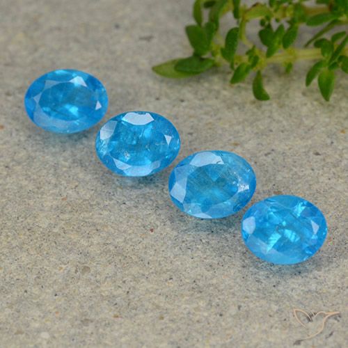 1.62ctw Naturale Azzurro intenso Apatite, Ovale, VS