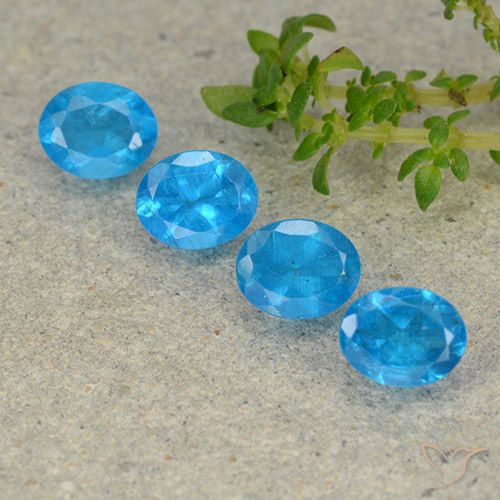 1.69ctw Naturale Azzurro profondo Apatite, Ovale, VS
