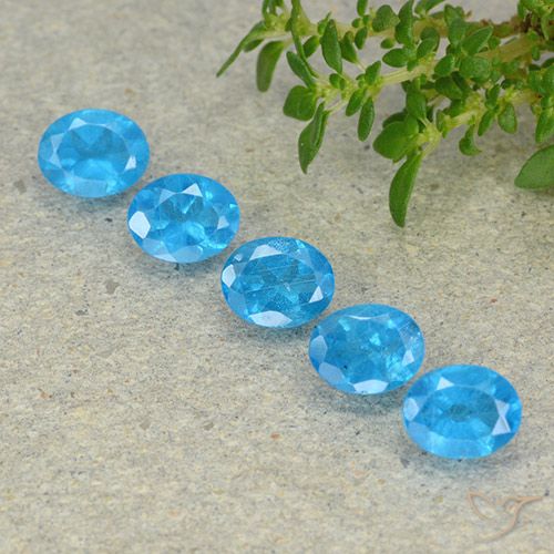 1.94ctw Naturale Blu medio Apatite, Ovale, VS