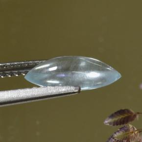Acquamarina Azzurro naturale da 1.06 ct, Taglio marquise, Trasparente