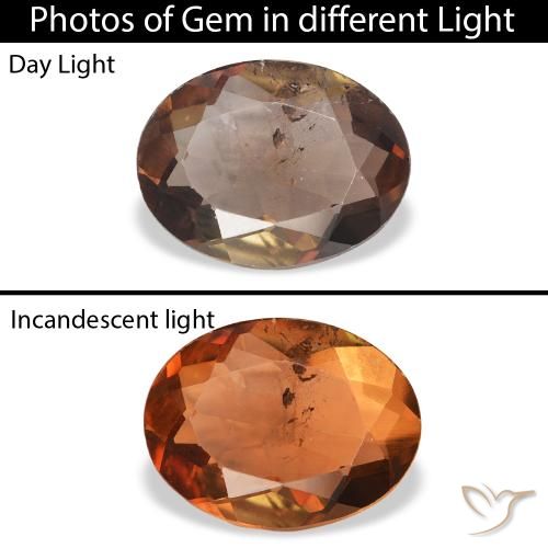 1.67ct Naturale Marrone scuro Axinite, Ovale, SI