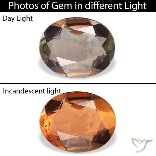 1.68ct Naturale Marrone scuro Axinite, Ovale, SI