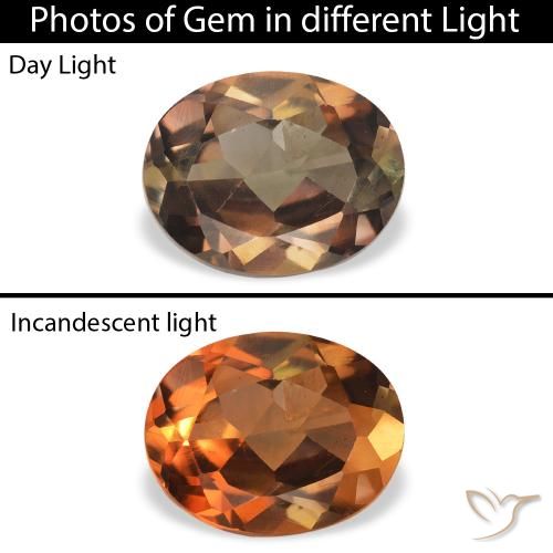 1.26ct Naturale Marrone scuro Axinite, Ovale, SI