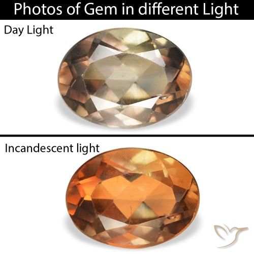 1.23ct Naturale Marrone scuro Axinite, Ovale, SI
