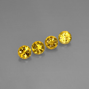 Gemme di Berillo Giallo oro naturale da  ct, Taglio rotondo, VVS-VS