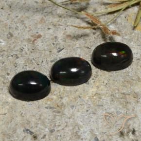 Gemme di Opale nero Multicolore naturale da 2.84 ct, Ovale, Traslucido