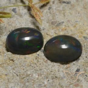 Gemme di Opale nero Multicolore naturale da 2.30 ct, Ovale, Traslucido