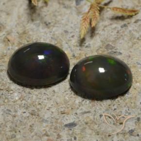 Gemme di Opale nero Multicolore naturale da 2.65 ct, Ovale, Traslucido