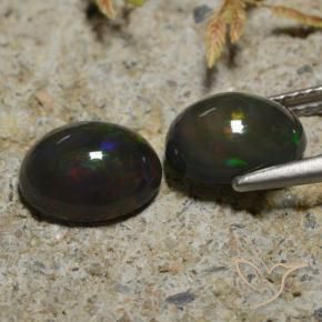 Gemme di Opale nero Multicolore naturale da 2.65 ct, Ovale, Traslucido