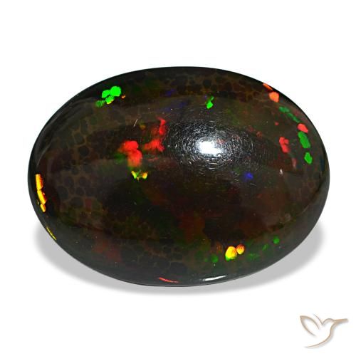 14.90ct multicolore opale nero, ovale, opaco