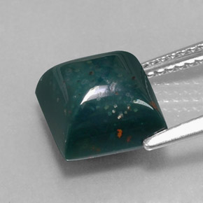 Pietra del sangue Verde maculato naturale da 3.94 ct, Quadrato, Opaco