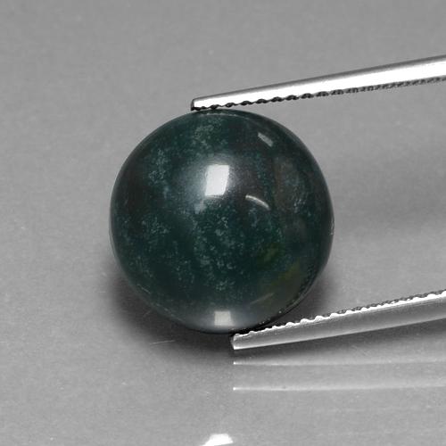 Pietra del sangue Verde scuro naturale da 8.75 ct, Taglio rotondo, Opaco