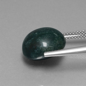 Pietra del sangue Verde scuro naturale da 8.75 ct, Taglio rotondo, Opaco