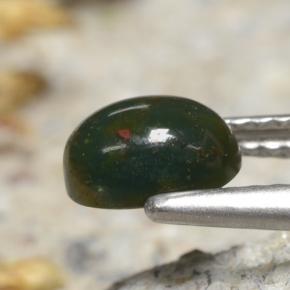 Pietra del sangue Verde naturale da 0.83 ct, Taglio ovale, Opaco